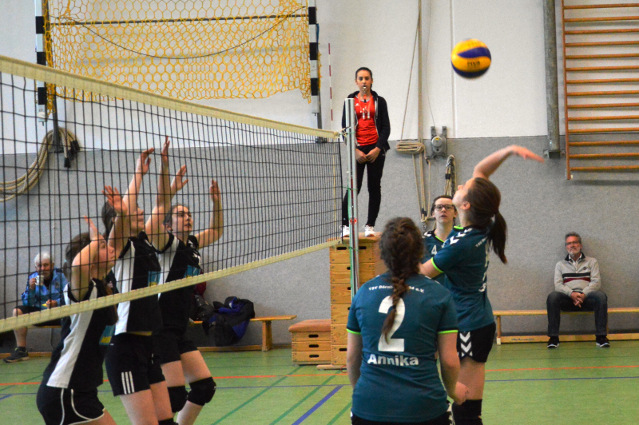 bild1