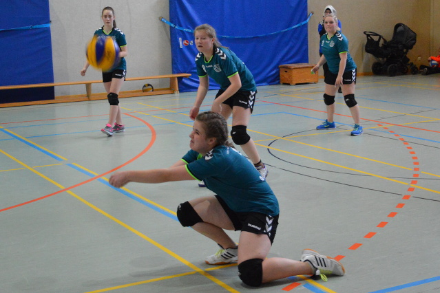 bild4