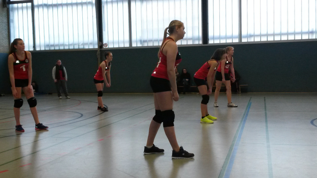 volleyballtsvmtmelsungen