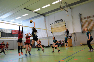 bild1