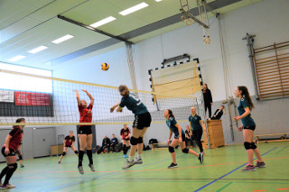 bild3