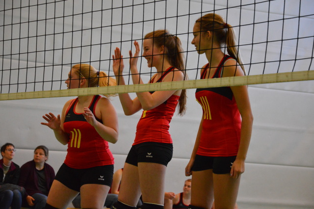 volleyballbalhorn