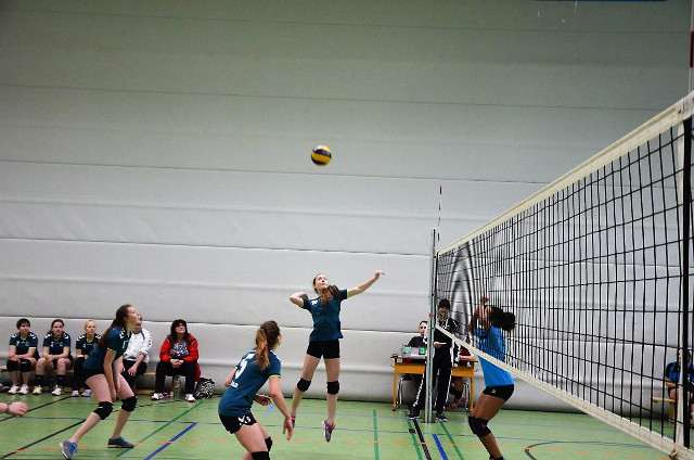 bild1