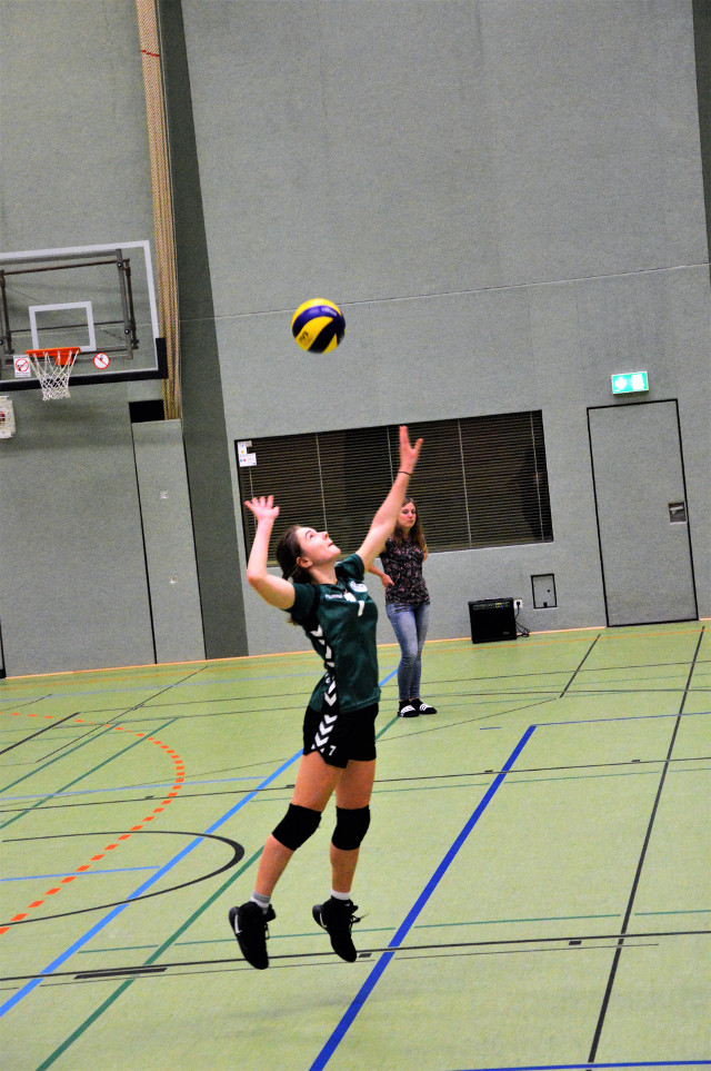 bild1